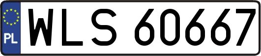 WLS60667