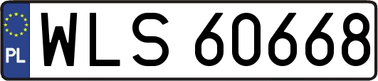 WLS60668