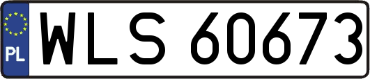 WLS60673