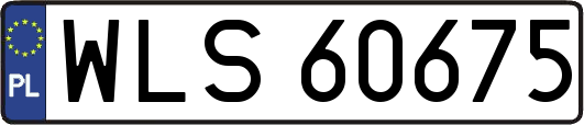 WLS60675
