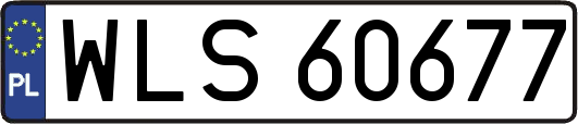 WLS60677