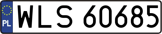 WLS60685