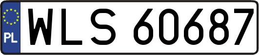 WLS60687