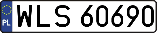 WLS60690