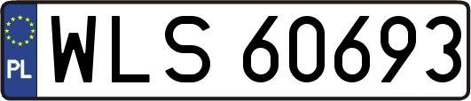 WLS60693