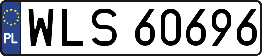WLS60696
