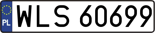 WLS60699