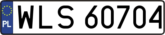 WLS60704