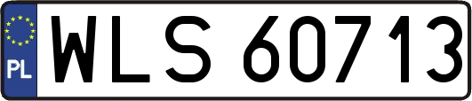 WLS60713