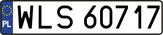 WLS60717