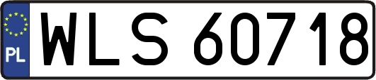 WLS60718