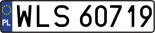 WLS60719