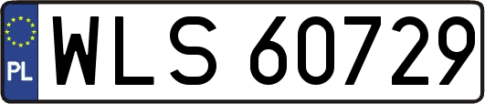WLS60729
