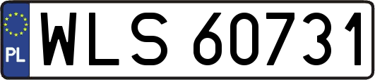 WLS60731
