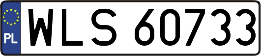 WLS60733