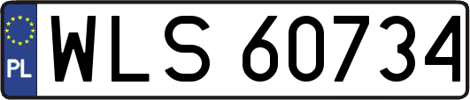 WLS60734