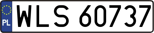 WLS60737