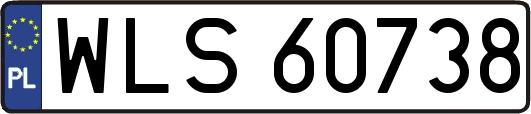WLS60738