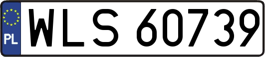 WLS60739