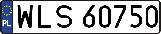 WLS60750