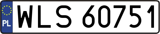 WLS60751