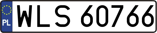 WLS60766