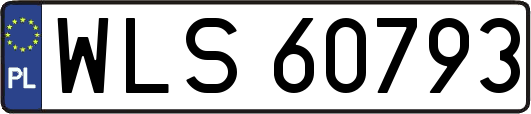 WLS60793
