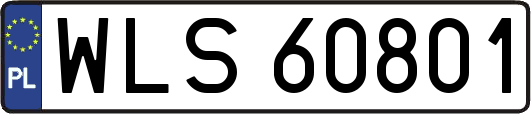 WLS60801