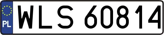 WLS60814