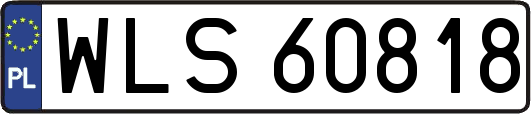 WLS60818