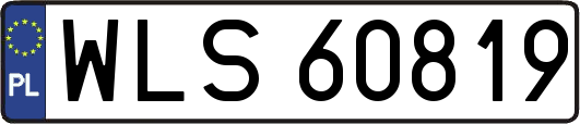 WLS60819