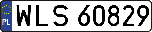 WLS60829