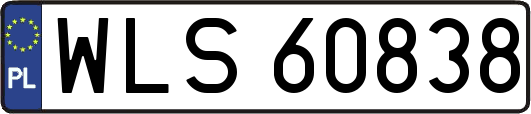 WLS60838