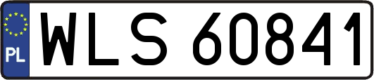 WLS60841
