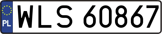 WLS60867