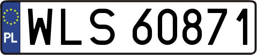 WLS60871