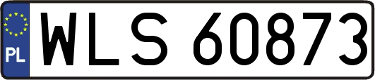WLS60873