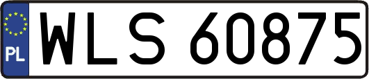 WLS60875
