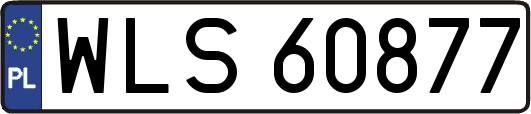 WLS60877
