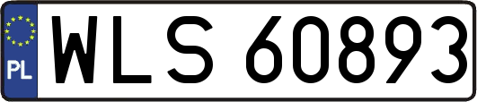 WLS60893