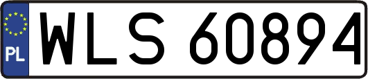 WLS60894
