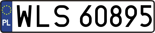 WLS60895