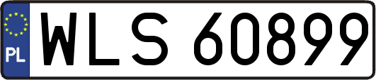 WLS60899