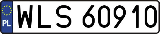 WLS60910