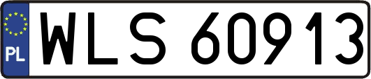 WLS60913