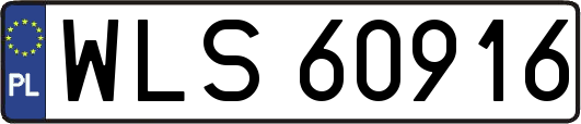 WLS60916