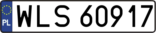 WLS60917