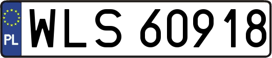 WLS60918