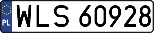 WLS60928