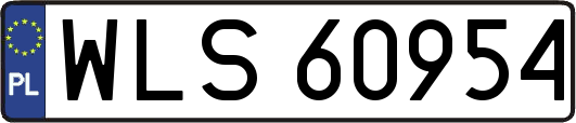 WLS60954